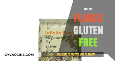 Are Rye Flakes Gluten-Free? Unraveling the Truth for Your Diet
