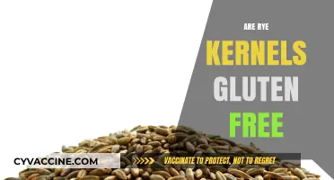 Are Rye Kernels Gluten-Free? Unraveling the Truth for Your Diet