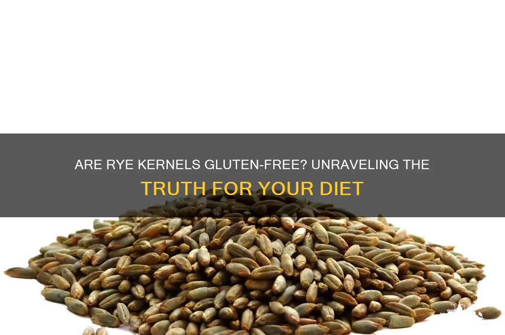 are rye kernels gluten free