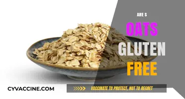 Are Oats Gluten-Free? Unraveling the Truth for Celiac Diets