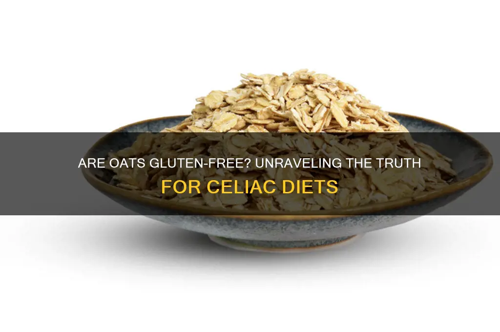 are s oats gluten free