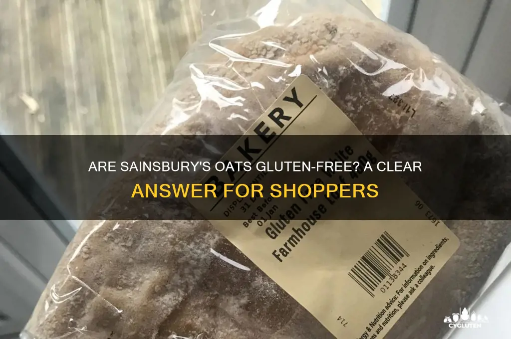 are sainsburys oats gluten free
