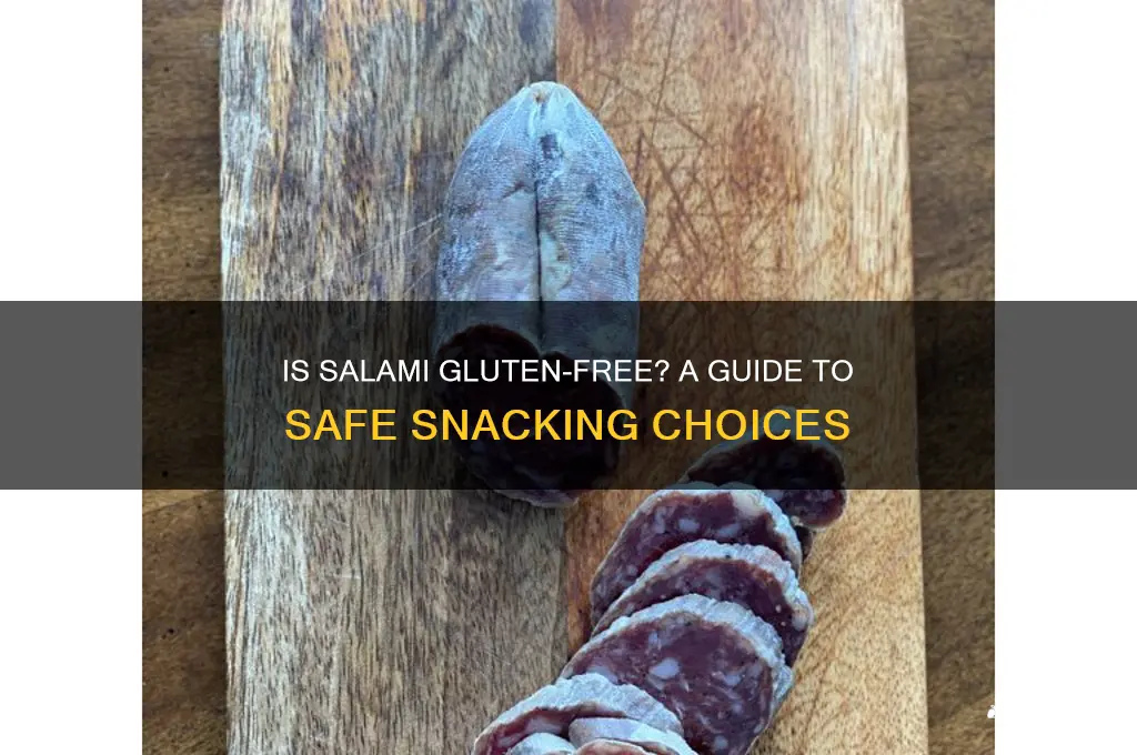 are salami gluten free