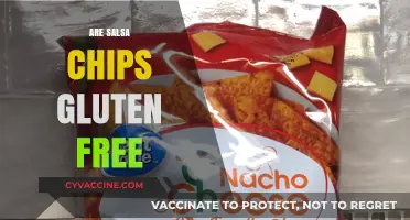 Are Salsa Chips Gluten-Free? A Crunchy Snack Fact Check