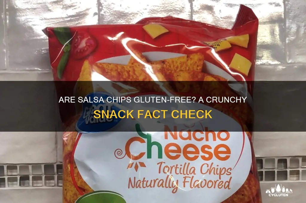 are salsa chips gluten free