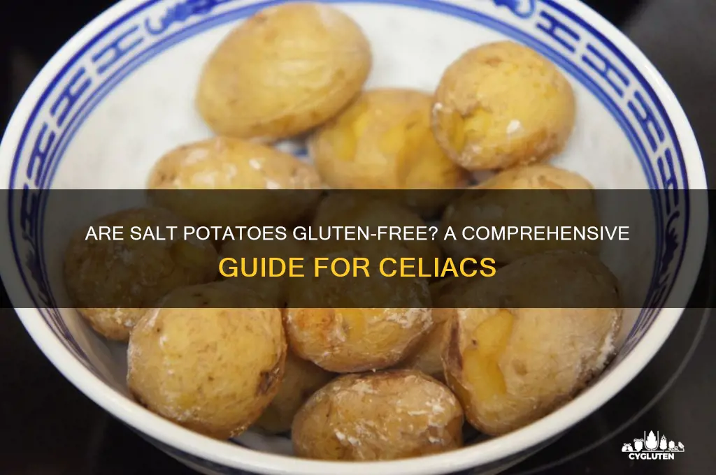 are salt potatoes gluten free