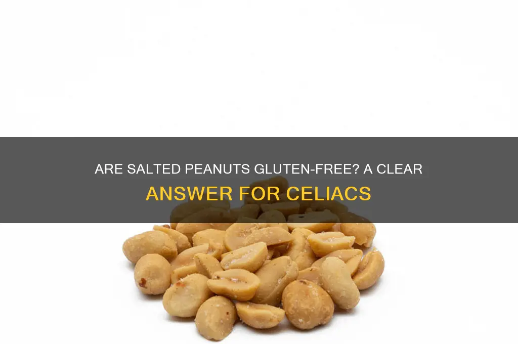 are salted peanuts gluten-free