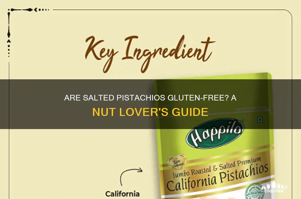 are salted pistachios gluten free