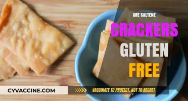 Are Saltine Crackers Gluten-Free? Uncovering the Truth for Your Diet