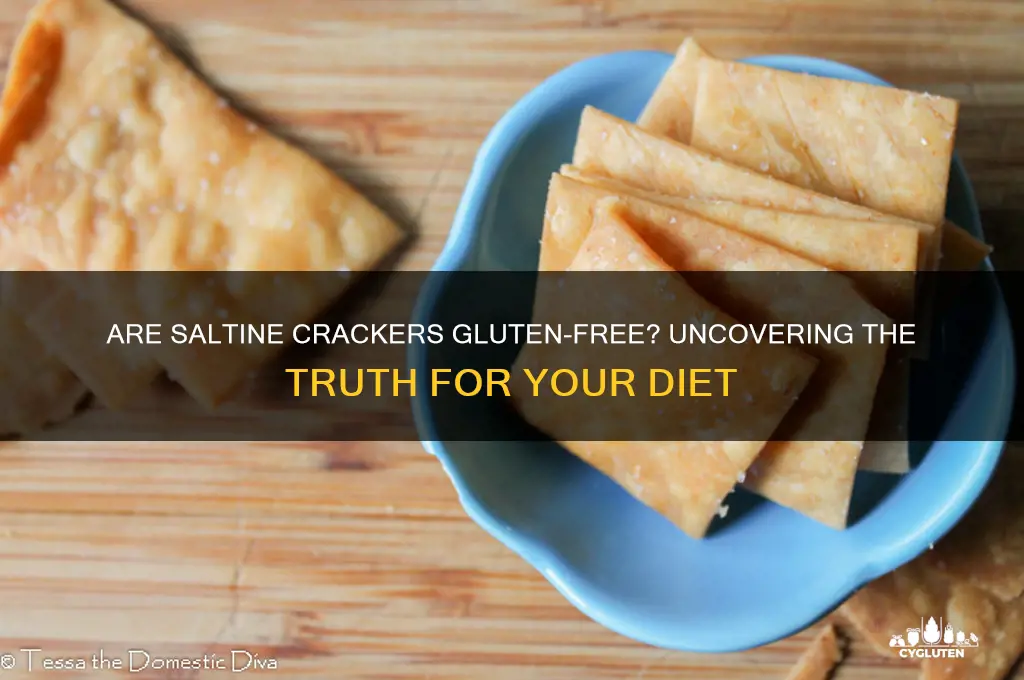 are saltene crackers gluten free