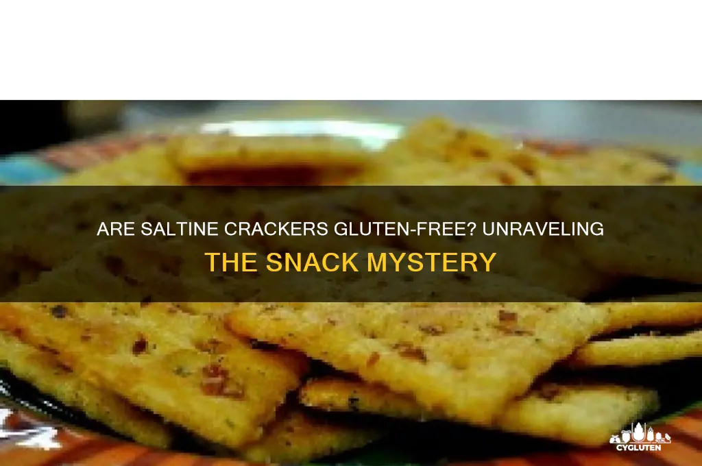 are saltine crackers gluten free