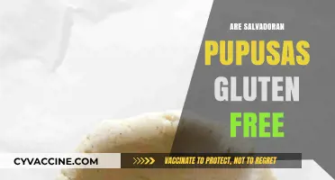 Are Salvadoran Pupusas Gluten-Free? A Delicious Dietary Dilemma Explored
