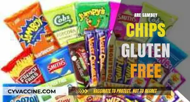 Are Samboy Chips Gluten-Free? A Crunchy Snack Fact Check