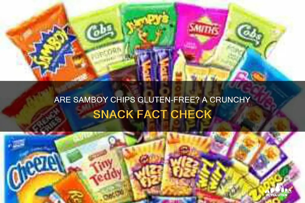 are samboy chips gluten free