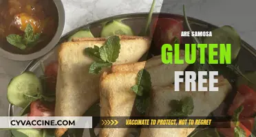 Are Samosas Gluten-Free? Unraveling the Ingredients and Options