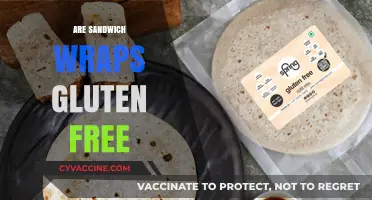 Are Sandwich Wraps Gluten-Free? A Complete Guide to Safe Options