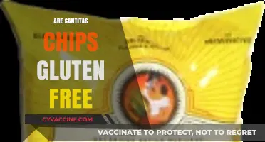 Are Santitas Chips Gluten-Free? A Crunchy Snack Fact Check