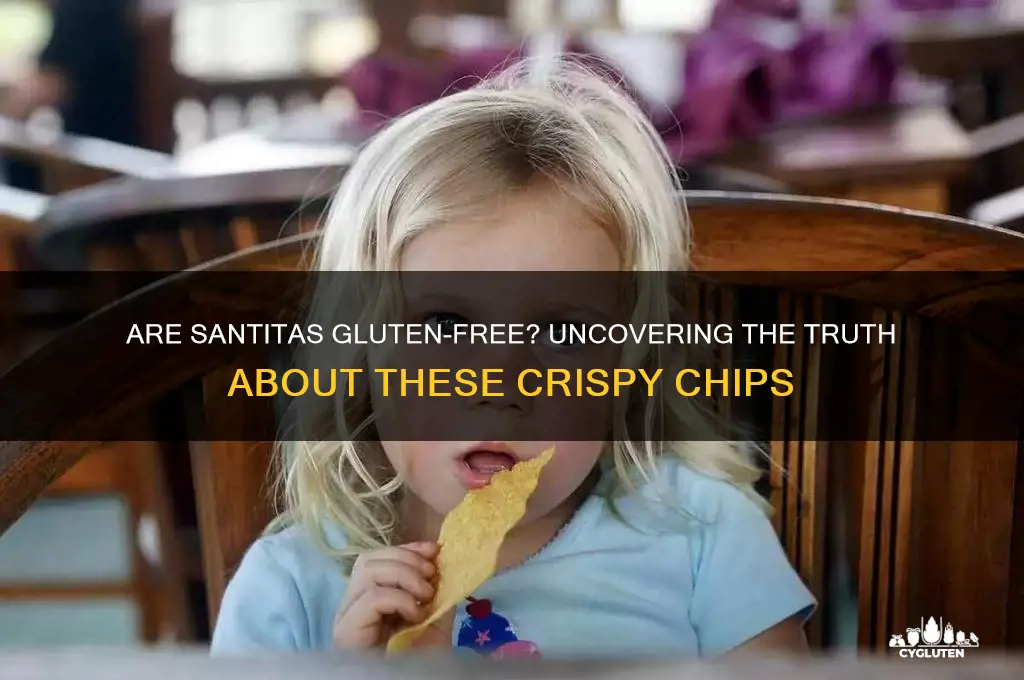 are santitas gluten free