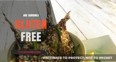 Are Sardines Gluten-Free? A Complete Guide to Safe Seafood Choices