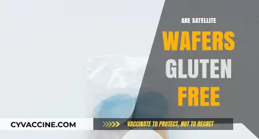 Are Satellite Wafers Gluten-Free? A Comprehensive Guide for Snackers