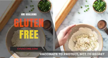 Are Scallions Gluten-Free? A Comprehensive Guide to Safe Eating