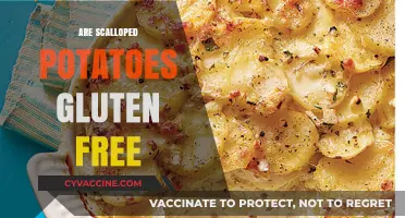 Are Scalloped Potatoes Gluten-Free? A Complete Guide for Food Lovers