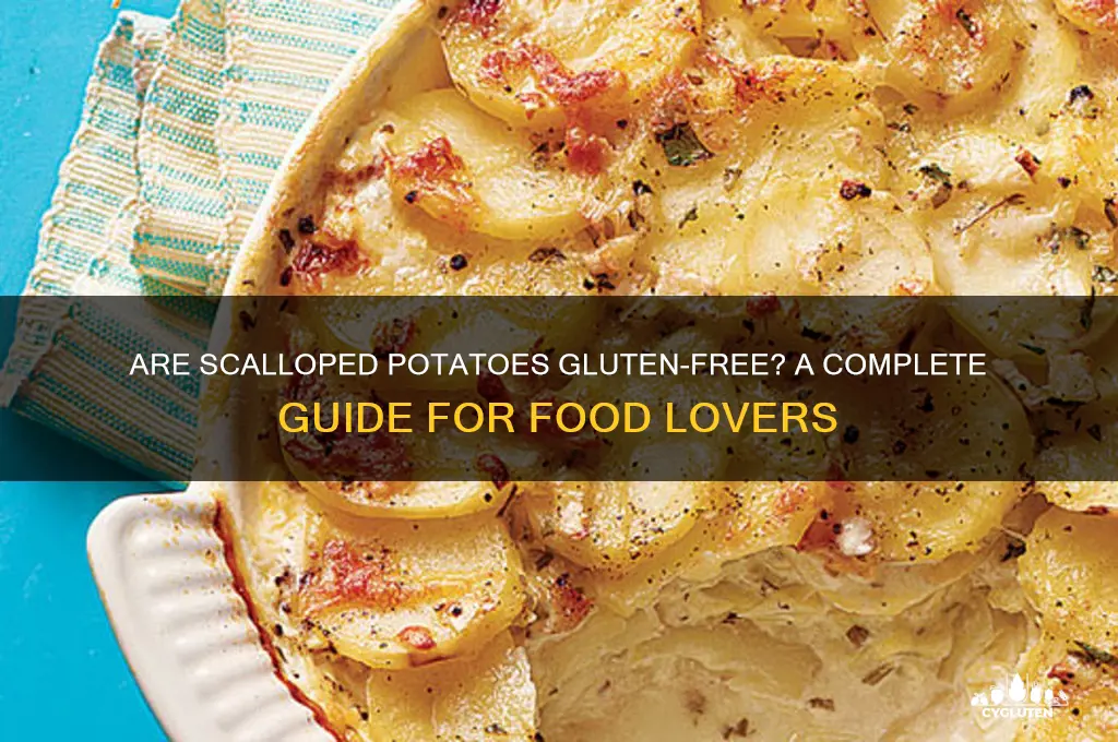 are scalloped potatoes gluten free
