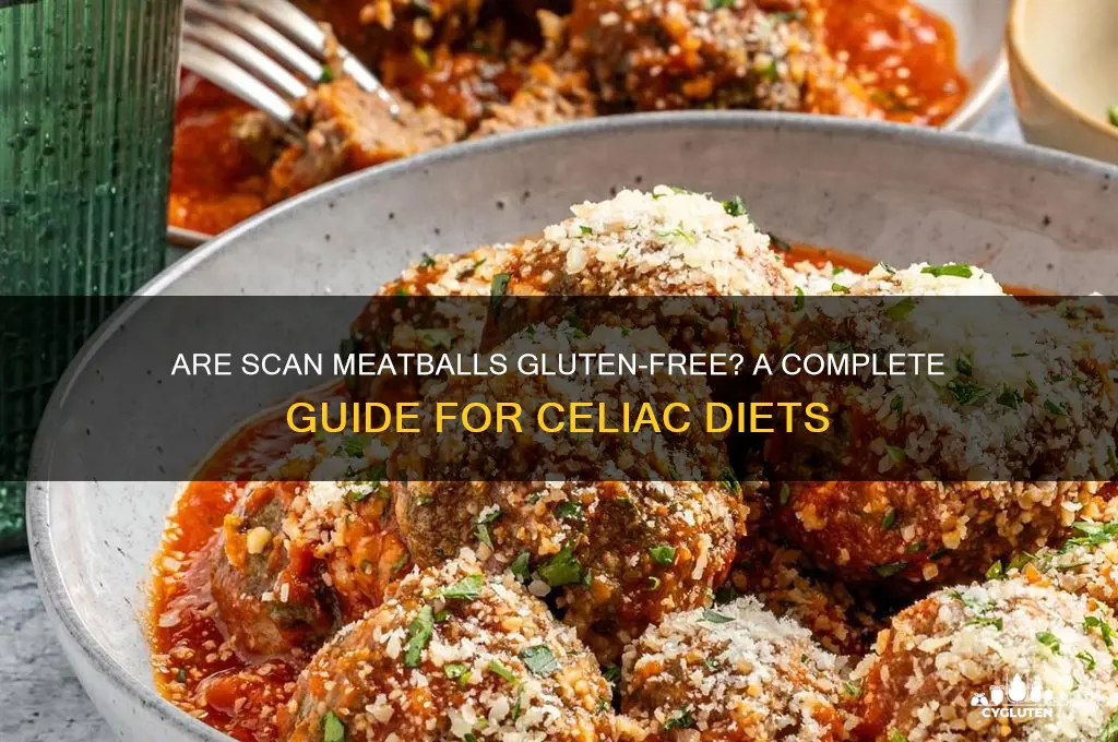are scan meatballs gluten free