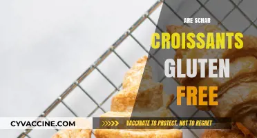 Are Schar Croissants Gluten-Free? A Tasty Breakfast Option Reviewed