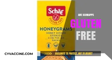 Are Schnapps Gluten-Free? A Guide to Safe Drinking Choices