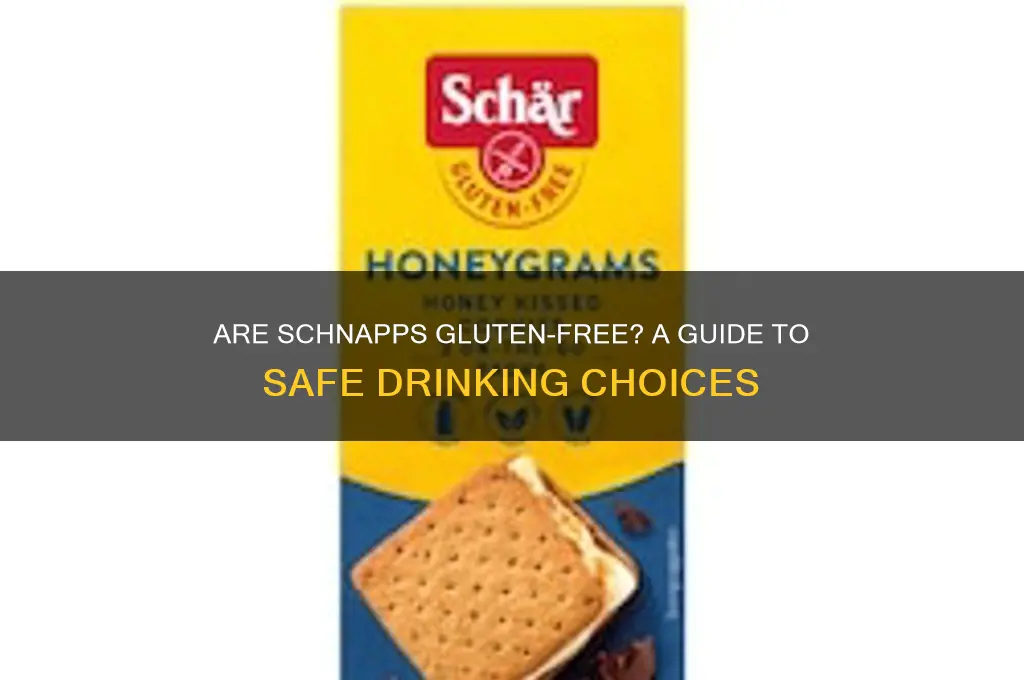 are schnapps gluten free