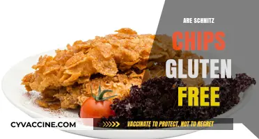 Are Schnitz Chips Gluten-Free? A Complete Guide for Snack Lovers