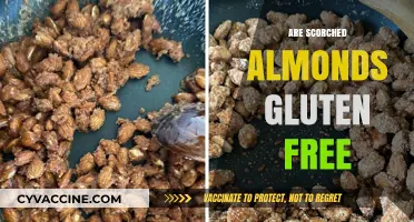 Scorched Almonds and Gluten: Are They a Safe Snack Option?
