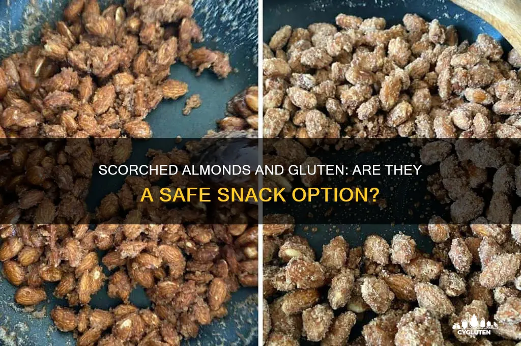 are scorched almonds gluten free