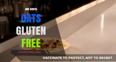 Are Scots Oats Gluten-Free? Unraveling the Truth for Celiac Diets