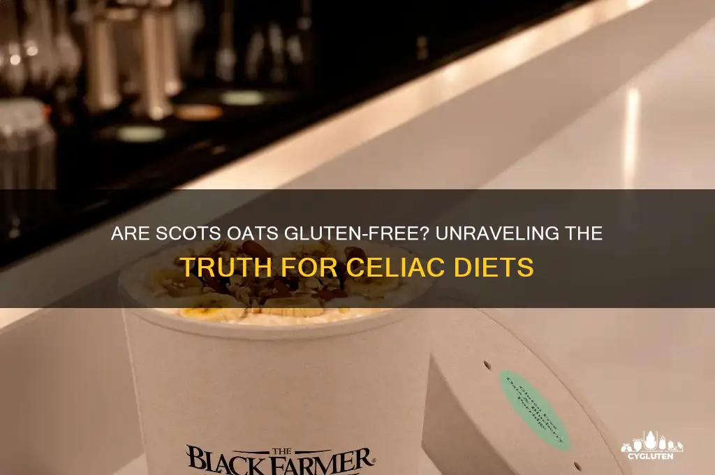 are scots oats gluten free
