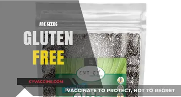 Are Seeds Gluten-Free? A Comprehensive Guide to Seed Safety