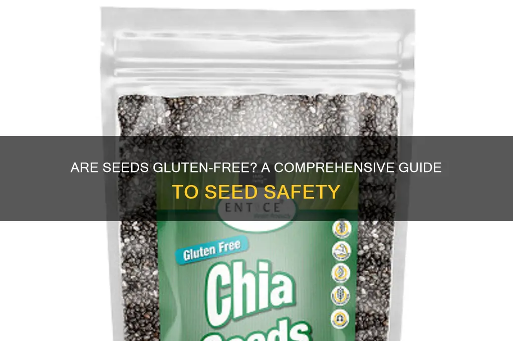 are seeds gluten free