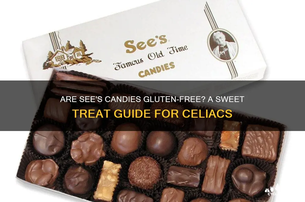 are sees candy gluten free