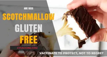 Are See's Scotchmallows Gluten-Free? A Sweet Treat Investigation