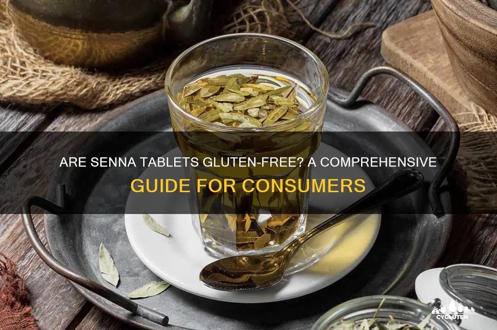 are senna tablets gluten free