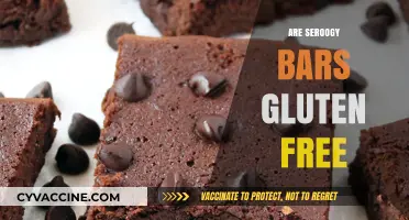 Are Seroogy Bars Gluten-Free? A Comprehensive Guide for Chocolate Lovers