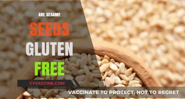 Are Sesame Seeds Gluten-Free? A Complete Guide for Celiac Diets