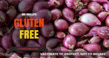Are Shallots Gluten-Free? A Complete Guide to Dietary Safety