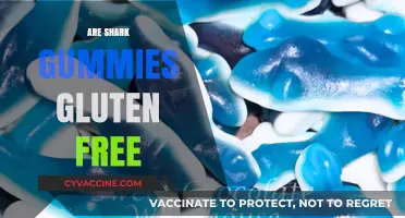 Shark Gummies Gluten-Free? Uncovering the Truth for Dietary Needs