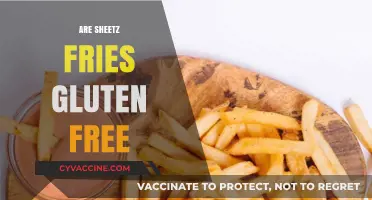 Are Sheetz Fries Gluten-Free? A Complete Guide for Celiac Diners