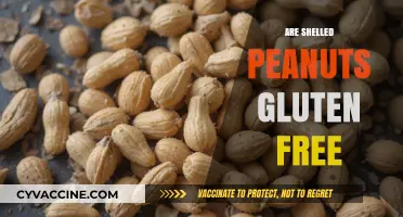 Are Shelled Peanuts Gluten-Free? A Comprehensive Guide for Celiacs