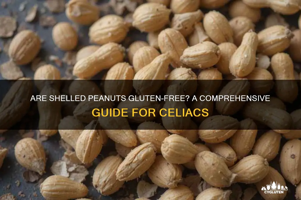 are shelled peanuts gluten free