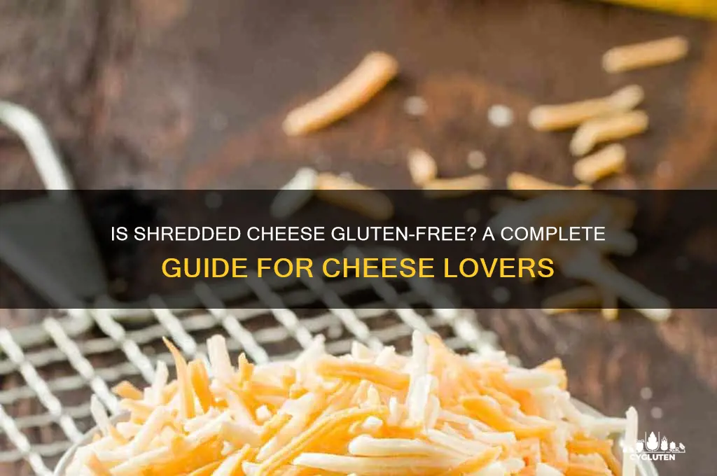 are shredded cheese gluten free