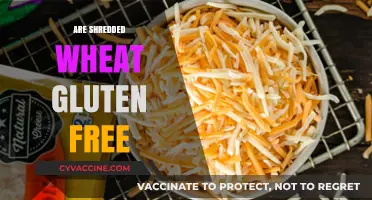 Is Shredded Wheat Gluten-Free? A Clear Answer for Your Diet